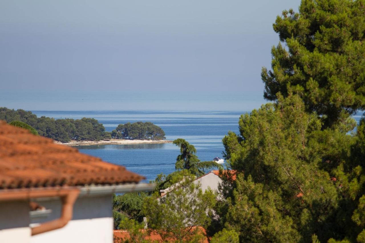 Apartment Nega 2 Rovinj